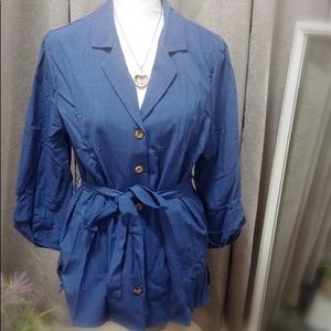 Blue Cute sophisticated top